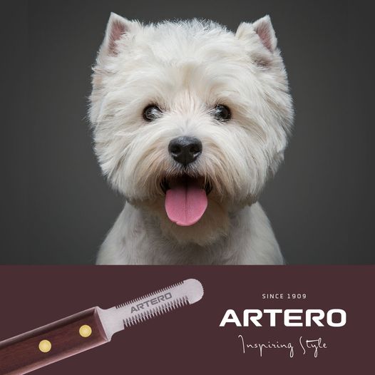 [1090943] ARTERO Trimmes Trio Trim