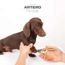 ARTERO DUKE Nageltang M