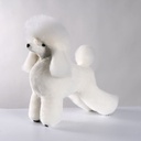 ARTERO GRAFITTI MODEL DOG POODLE WIG IN CONTINENTAL CLIP