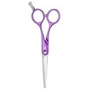 Artero scissor Purple Symetric 5,5"